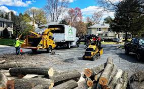 Best Lawn Renovation and Restoration  in North Catasauqua, PA