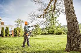 Best Soil Testing and Treatment  in North Catasauqua, PA